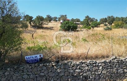 ÇANAKKALE AYVACIK İLYASFAKI KÖYÜ'NDE MANİCİ ÇİFLİK'E KOMŞU TARLA