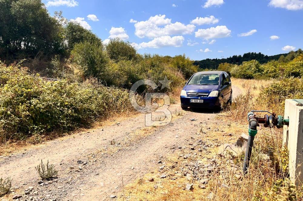 LAPSEKİ BALCILARDA KADASTRAL YOLU & SUYU OLAN TARLA