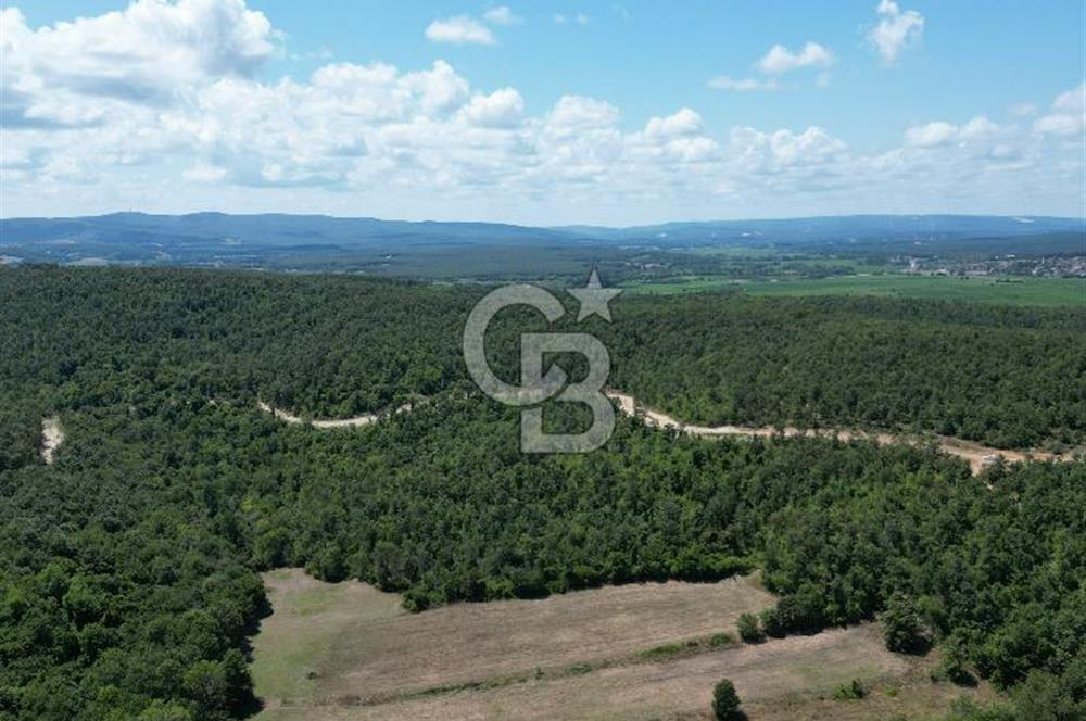 CB NOVO'DAN TERKOS GÖLÜNDE 2.300 M2 ARSA