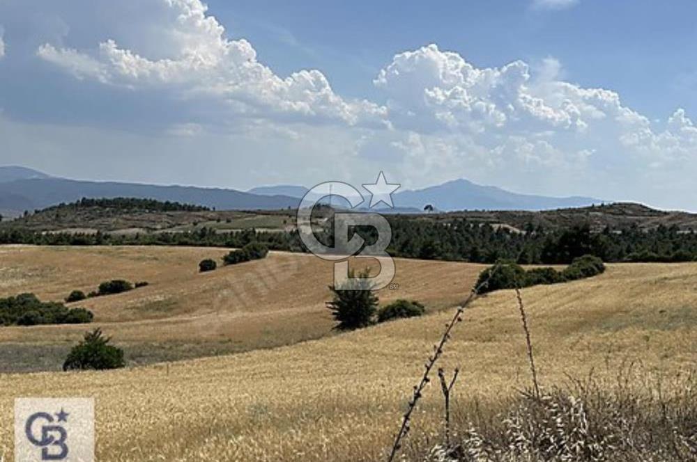 Honaz yokuşbaşı satılık arazi 