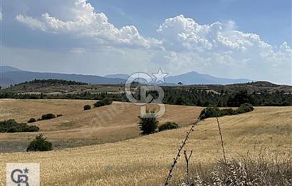 Honaz yokuşbaşı satılık arazi 