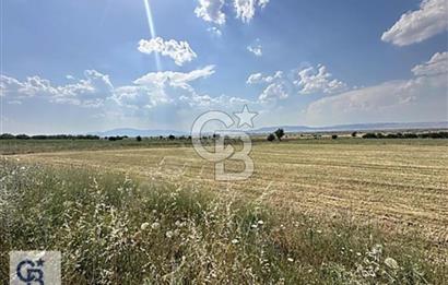 Baklanda Satılık Arazi 