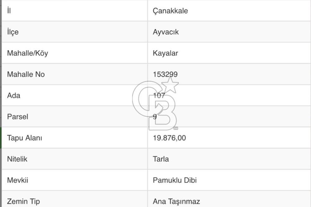 AYVACIK KAYALAR KÖYÜNDE ACİL 19.876 M2 SATILIK TARLA