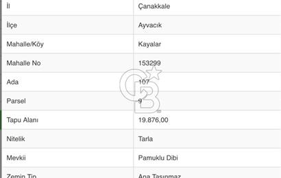 AYVACIK KAYALAR KÖYÜNDE ACİL 19.876 M2 SATILIK TARLA