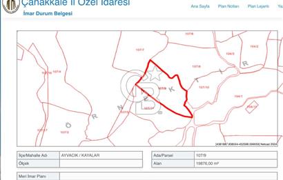 AYVACIK KAYALAR KÖYÜNDE ACİL 19.876 M2 SATILIK TARLA