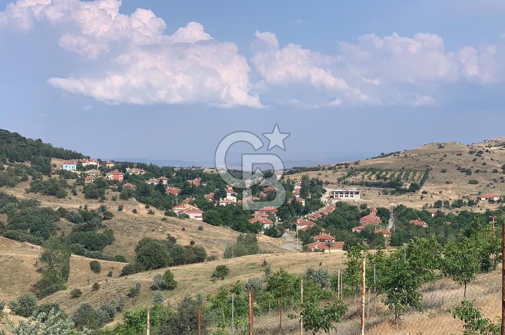 ÇUBUK DAĞKALAFAT KÖYÜNDE 22 DÖNÜM SATILIK CEVİZ BAHÇESİ