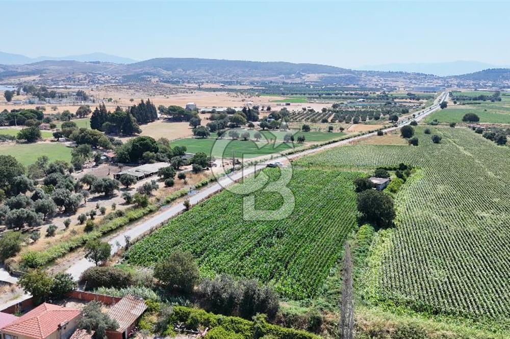 FOÇA BAĞARASI HACIVELİ MAHALLESİNDE 5625M2 SATILIK TARLA