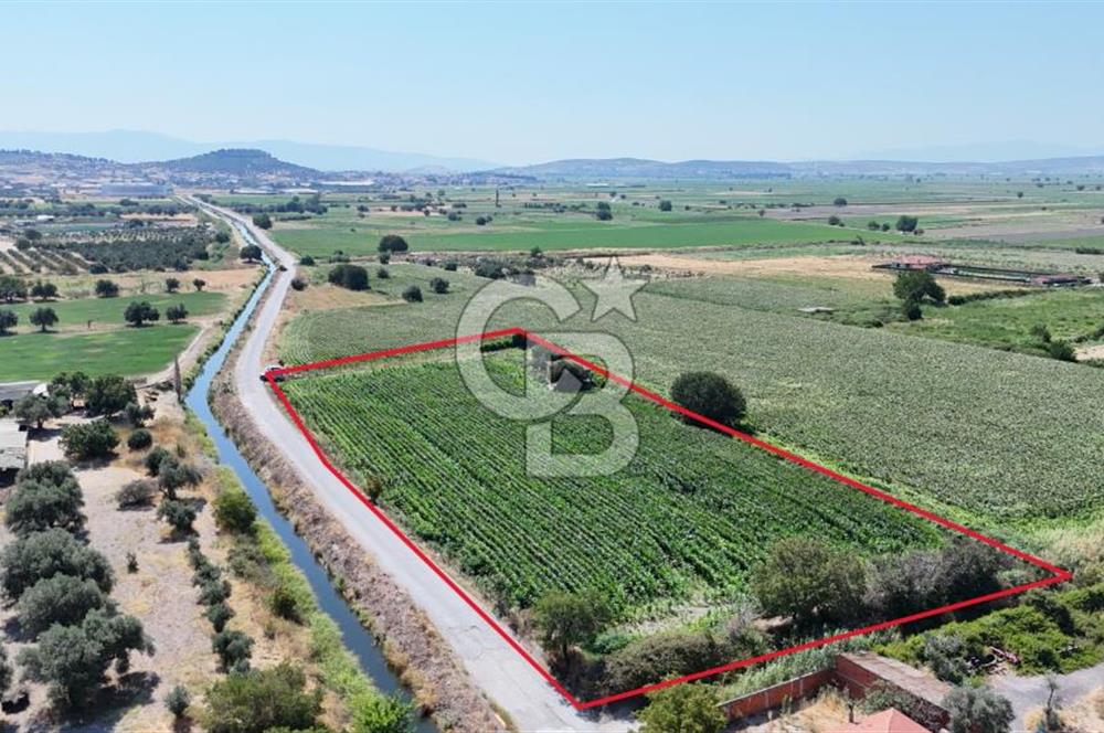 FOÇA BAĞARASI HACIVELİ MAHALLESİNDE 5625M2 SATILIK TARLA