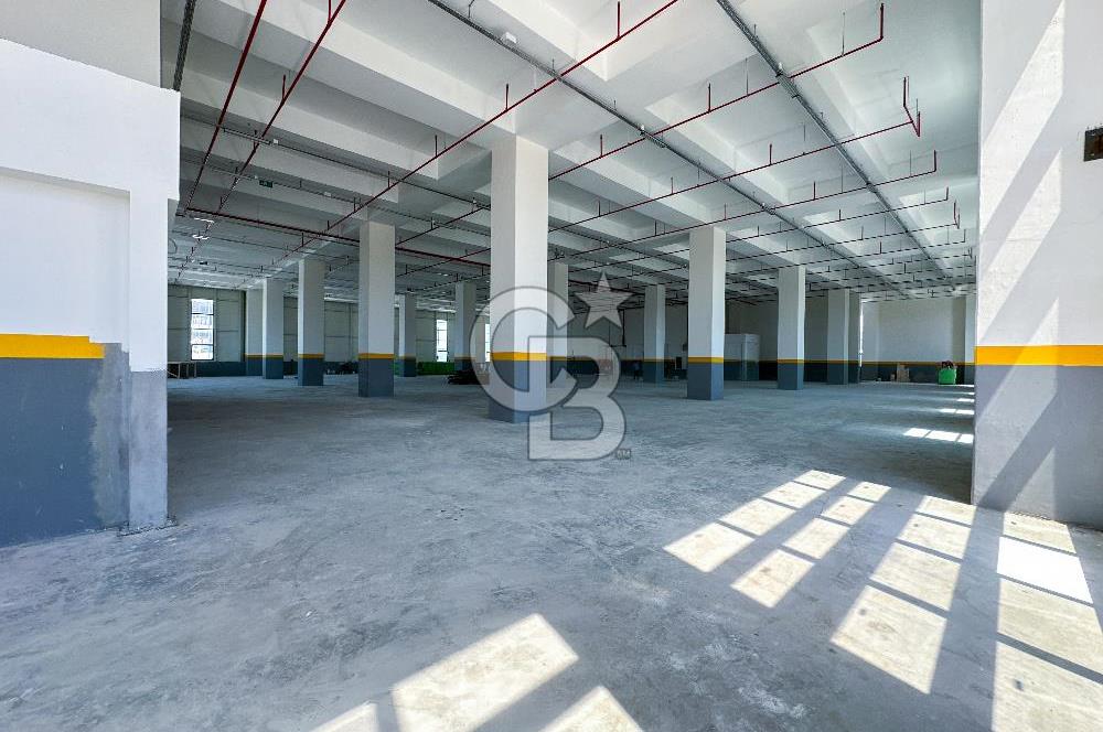 Deliklikaya'da 7.300m² Kiralık Fabrika Taşınmaya Hazır