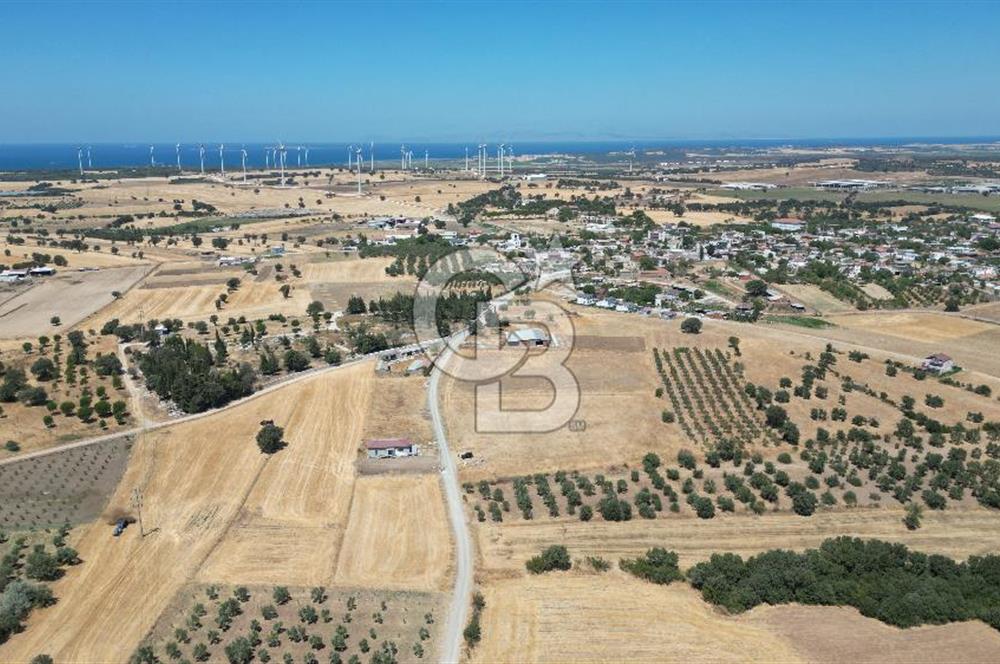 ÇANAKKALE EZİNE ÜVECİK KÖYÜ İMAR SINIRINDA 2500 m² SATILIK ARAZİ