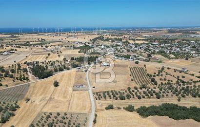 ÇANAKKALE EZİNE ÜVECİK KÖYÜ İMAR SINIRINDA 2500 m² SATILIK ARAZİ