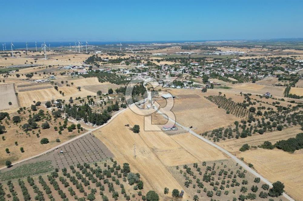 ÇANAKKALE EZİNE ÜVECİK KÖYÜ İMAR SINIRINDA 2500 m² SATILIK ARAZİ