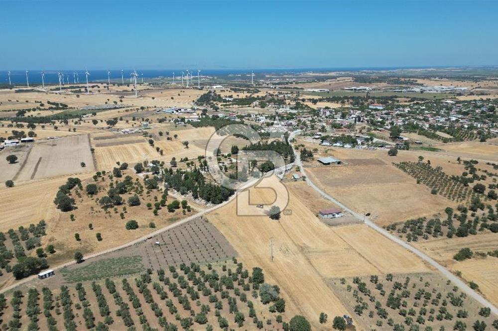 ÇANAKKALE EZİNE ÜVECİK KÖYÜ İMAR SINIRINDA 2500 m² SATILIK ARAZİ