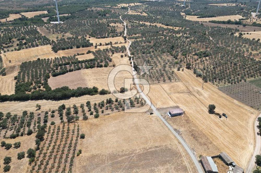 ÇANAKKALE EZİNE ÜVECİK KÖYÜ İMAR SINIRINDA 2500 m² SATILIK ARAZİ