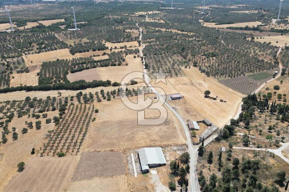 ÇANAKKALE EZİNE ÜVECİK KÖYÜ İMAR SINIRINDA 2500 m² SATILIK ARAZİ