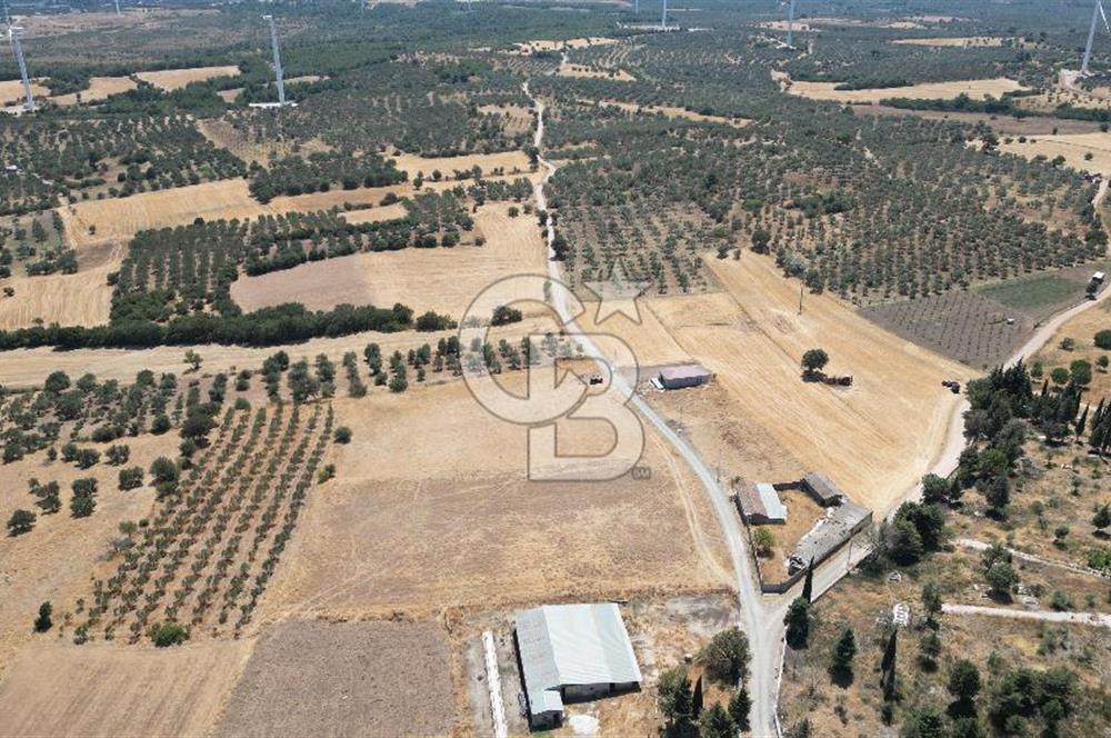 ÇANAKKALE EZİNE ÜVECİK KÖYÜ İMAR SINIRINDA 2500 m² SATILIK ARAZİ