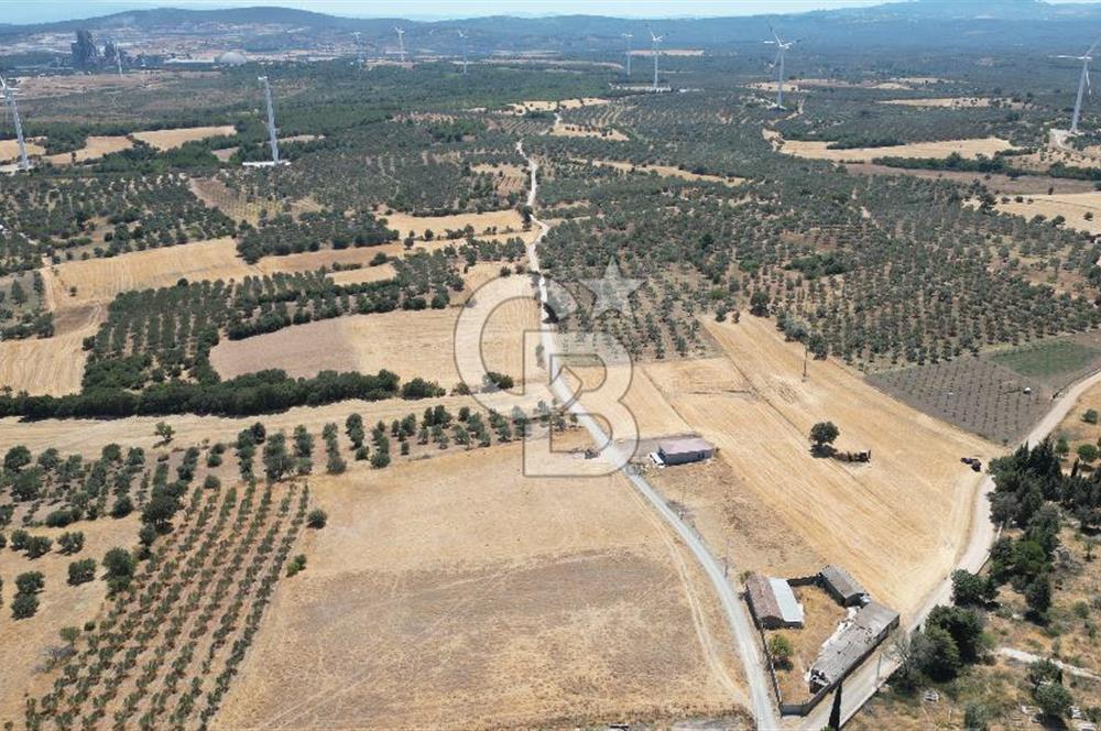 ÇANAKKALE EZİNE ÜVECİK KÖYÜ İMAR SINIRINDA 2500 m² SATILIK ARAZİ