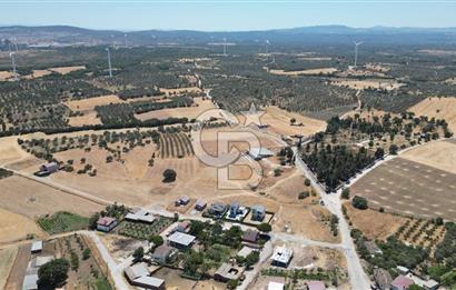 ÇANAKKALE EZİNE ÜVECİK KÖYÜ İMAR SINIRINDA 2500 m² SATILIK ARAZİ