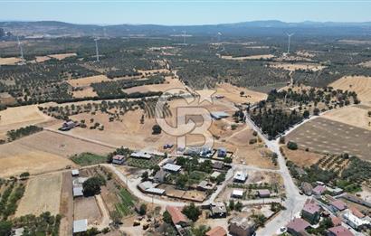 ÇANAKKALE EZİNE ÜVECİK KÖYÜ İMAR SINIRINDA 2500 m² SATILIK ARAZİ