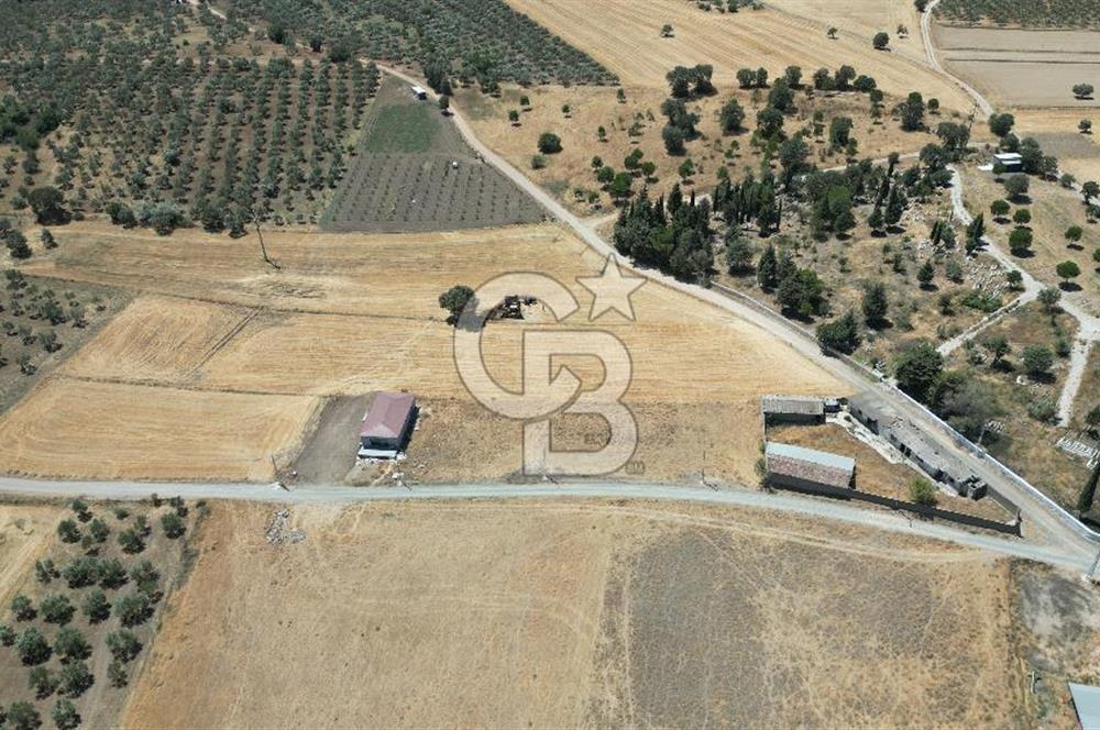 ÇANAKKALE EZİNE ÜVECİK KÖYÜ İMAR SINIRINDA 2500 m² SATILIK ARAZİ