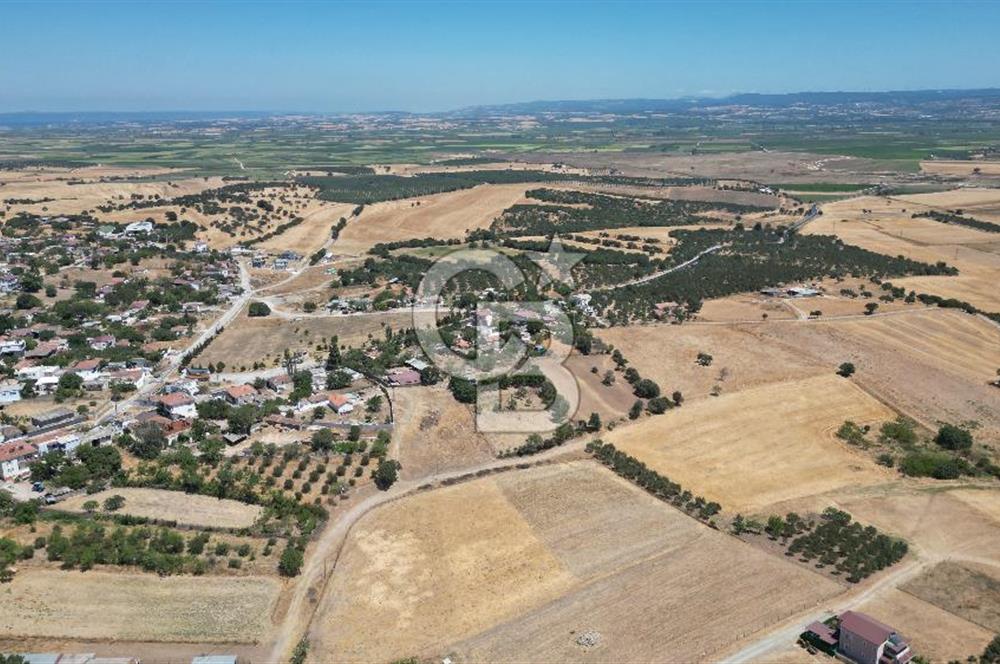 ÇANAKKALE EZİNE ÜVECİK KÖYÜ İMAR SINIRINDA 2500 m² SATILIK ARAZİ