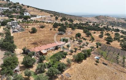 Manisa Yunusemre Kocakoru Satılık Tarla