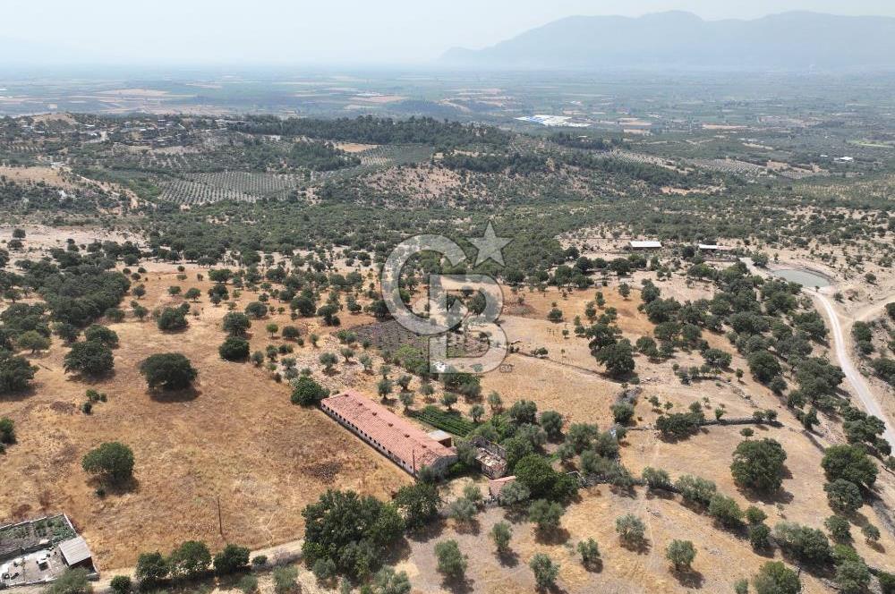 Manisa Yunusemre Kocakoru Satılık Tarla