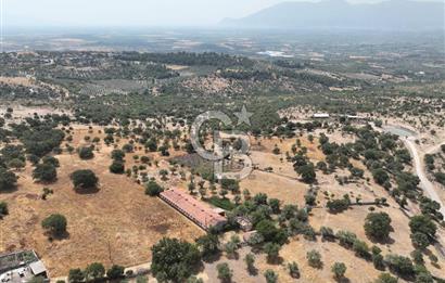 Manisa Yunusemre Kocakoru Satılık Tarla