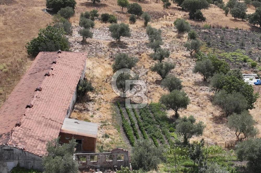 Manisa Yunusemre Kocakoru Satılık Tarla