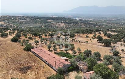 Manisa Yunusemre Kocakoru Satılık Tarla