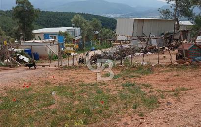 Bornova Yaka Satılık Arazi - Yatırım Fırsatını Kaçırmayın!