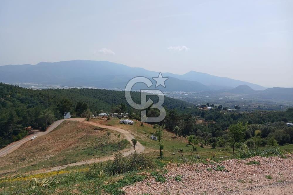 Bornova Yaka Satılık Arazi - Yatırım Fırsatını Kaçırmayın!