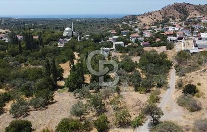 ÇANAKKALE AYVACIK KÖSEDERE KÖYÜ DENİZ MANZARALI İMARLI ARSA