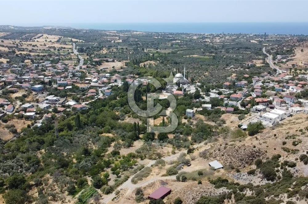 ÇANAKKALE AYVACIK KÖSEDERE KÖYÜ DENİZ MANZARALI İMARLI ARSA