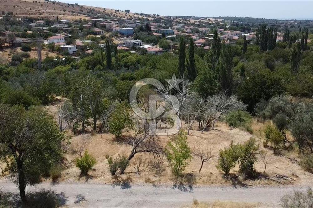 ÇANAKKALE AYVACIK KÖSEDERE KÖYÜ DENİZ MANZARALI İMARLI ARSA