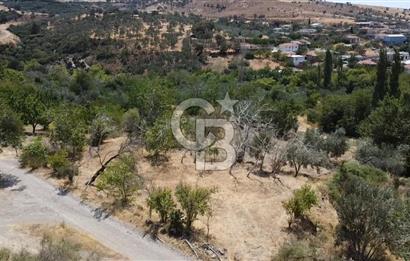 ÇANAKKALE AYVACIK KÖSEDERE KÖYÜ DENİZ MANZARALI İMARLI ARSA