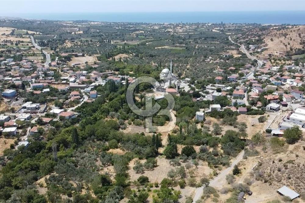 ÇANAKKALE AYVACIK KÖSEDERE KÖYÜ DENİZ MANZARALI İMARLI ARSA