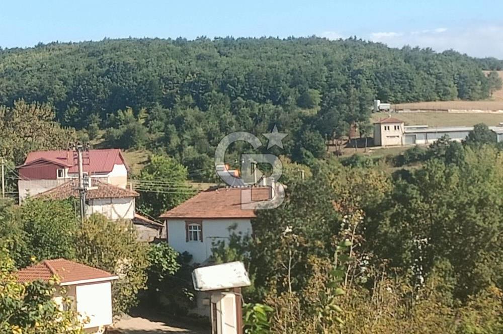 İzmit Kozluca'da Otoyola Yakın İstanbul'a Bir Saat Uzaklıkta Site Konseptinde Villa İmarlı Arsalar