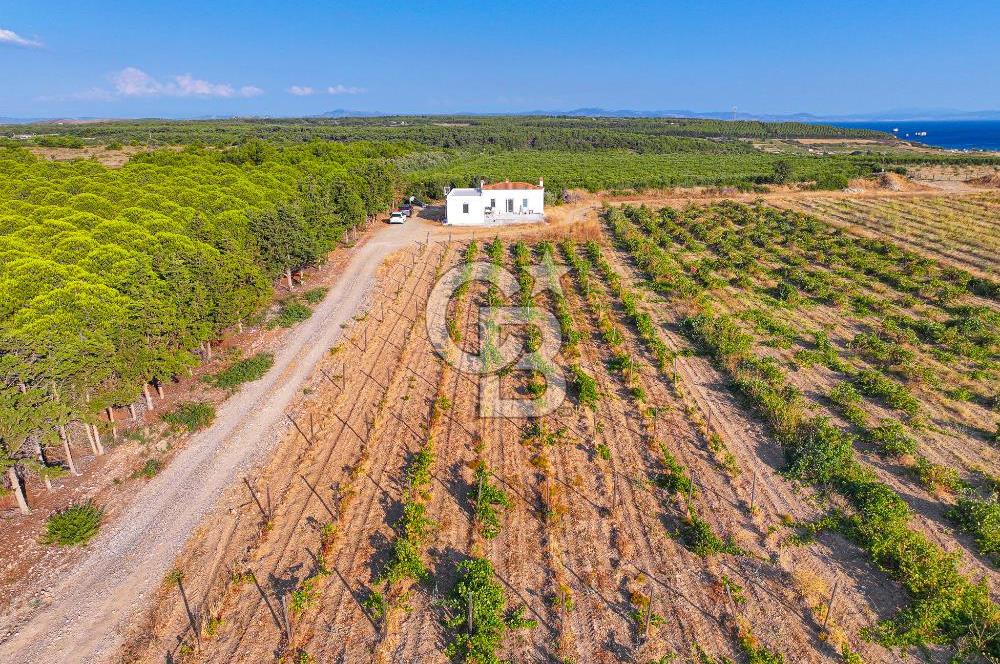 ÇANAKKALE BOZCAADA HABBELE MEVKİİ'NDE SATILIK BAĞ EVİ