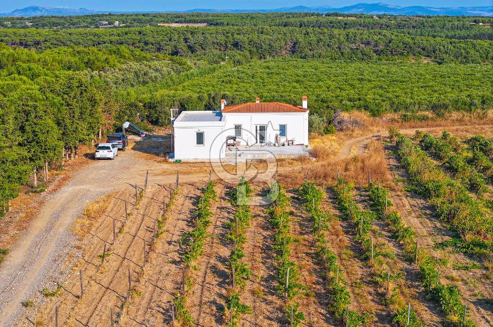 ÇANAKKALE BOZCAADA HABBELE MEVKİİ'NDE SATILIK BAĞ EVİ