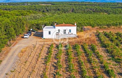 ÇANAKKALE BOZCAADA HABBELE MEVKİİ'NDE SATILIK BAĞ EVİ