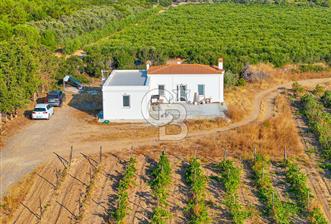 ÇANAKKALE BOZCAADA HABBELE MEVKİİ'NDE SATILIK BAĞ EVİ