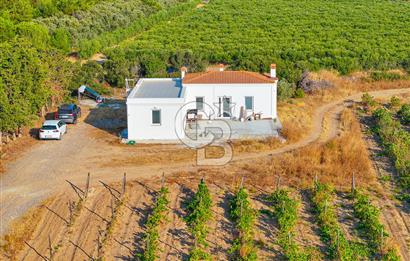 ÇANAKKALE BOZCAADA HABBELE MEVKİİ'NDE SATILIK BAĞ EVİ