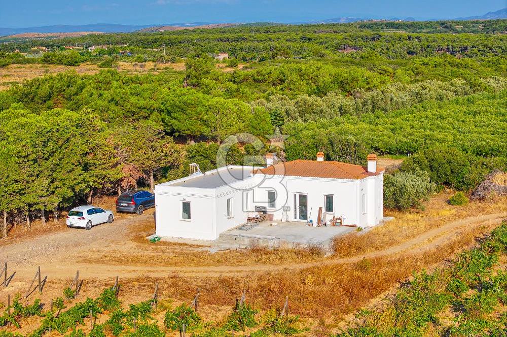 ÇANAKKALE BOZCAADA HABBELE MEVKİİ'NDE SATILIK BAĞ EVİ