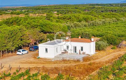 ÇANAKKALE BOZCAADA HABBELE MEVKİİ'NDE SATILIK BAĞ EVİ