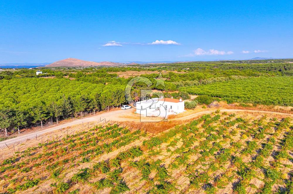 ÇANAKKALE BOZCAADA HABBELE MEVKİİ'NDE SATILIK BAĞ EVİ