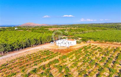 ÇANAKKALE BOZCAADA HABBELE MEVKİİ'NDE SATILIK BAĞ EVİ