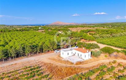 ÇANAKKALE BOZCAADA HABBELE MEVKİİ'NDE SATILIK BAĞ EVİ