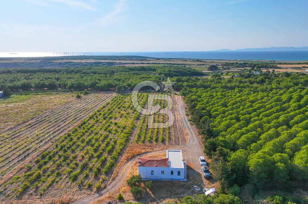 ÇANAKKALE BOZCAADA HABBELE MEVKİİ'NDE SATILIK BAĞ EVİ