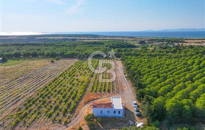 ÇANAKKALE BOZCAADA HABBELE MEVKİİ'NDE SATILIK BAĞ EVİ